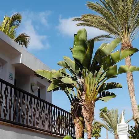 Fariones Puerto del Carmen