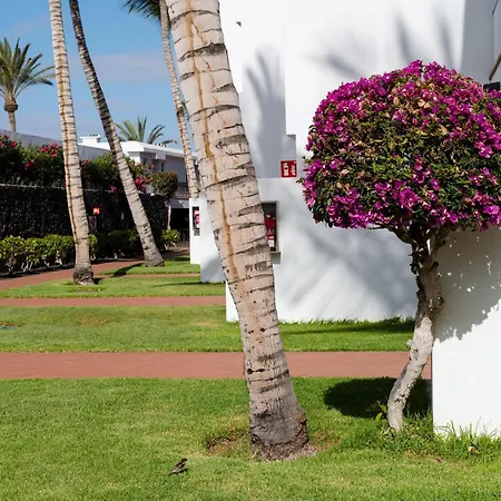 Fariones Apartmán Puerto del Carmen (Lanzarote)